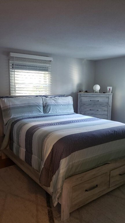 8 Michael Rd, Randolph, MA 02368 - photo 6