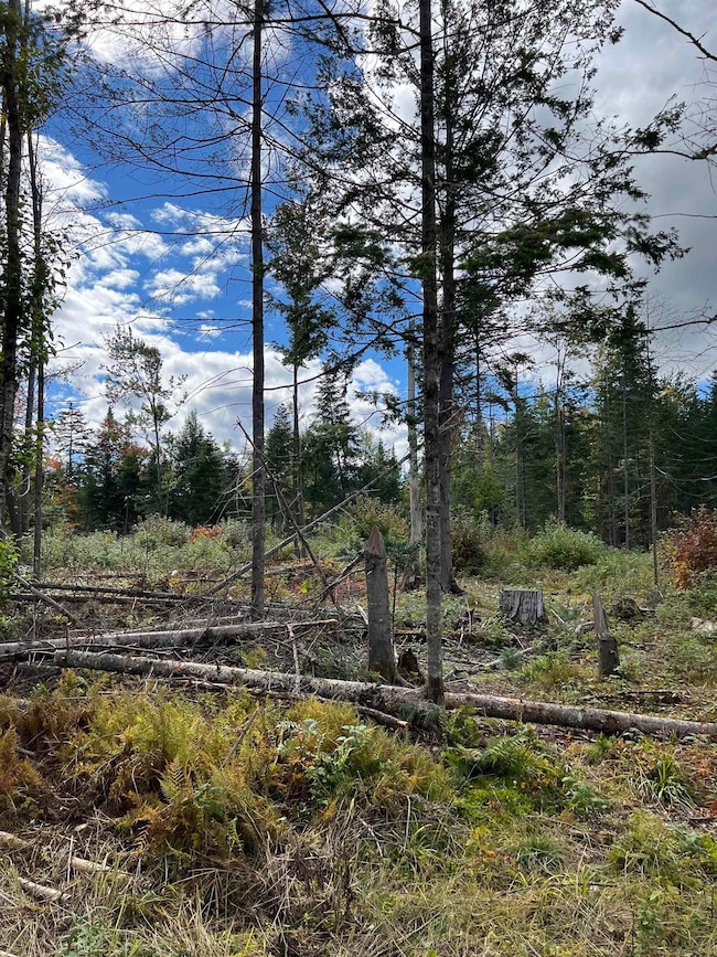 0 Evergreen Dr, Dalton, NH 03598 - photo 5