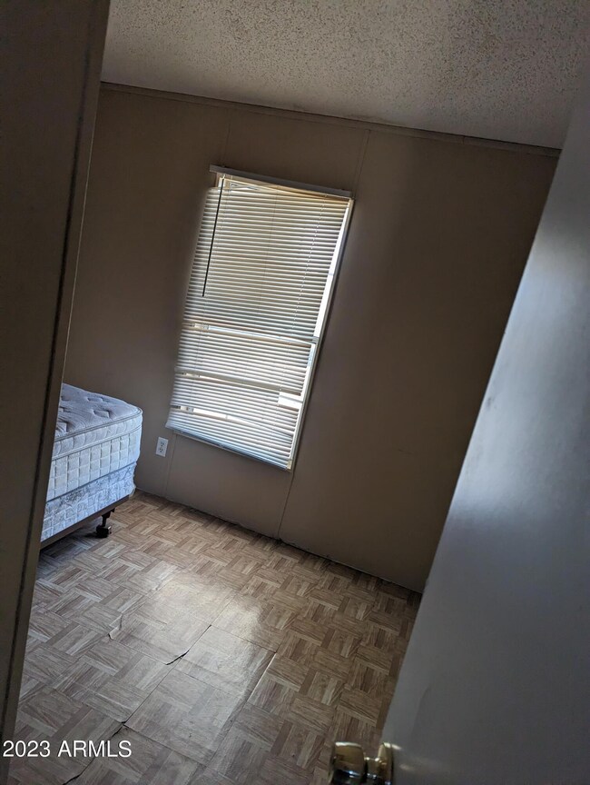 PXL_20230313_163850629