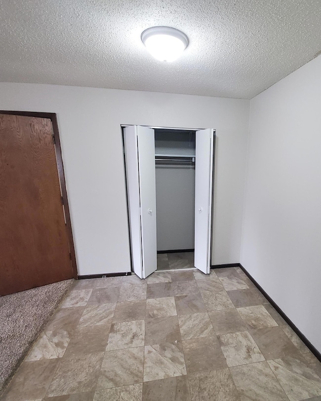 725 S 9th St unit 3, Bird Island, MN 55310 - photo 3