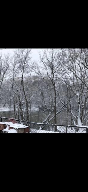 Back Snow