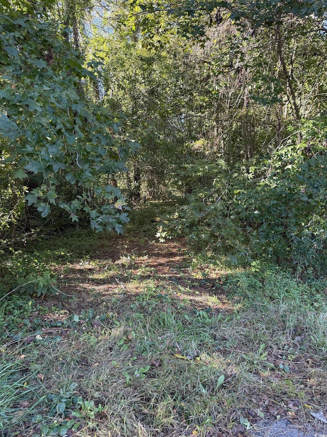 0 Highway 57 unit 2528836, Little River, SC 29566 - photo 7