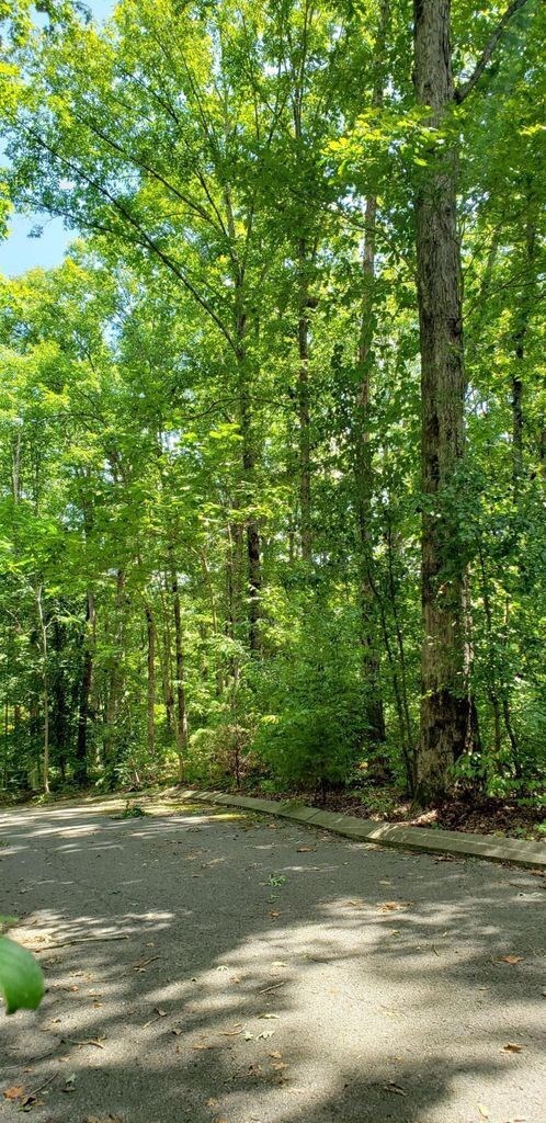 11 Shady Oaks Dr, Dunlap, TN 37327 - photo 6