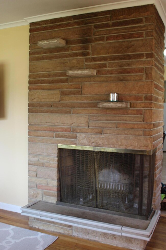 Wood Burning Fire Place