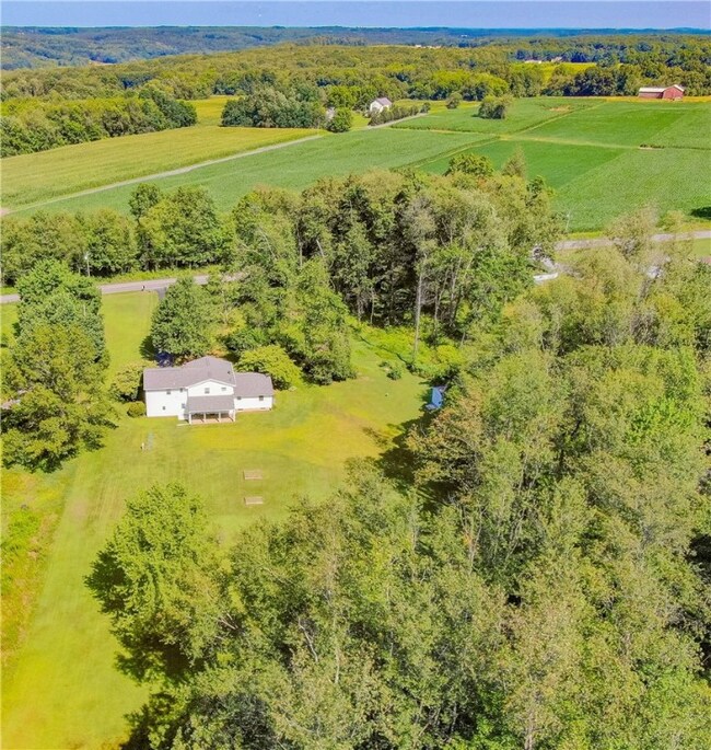 1660 Pulaski Mercer Rd, Mercer, PA 16137 - photo 7