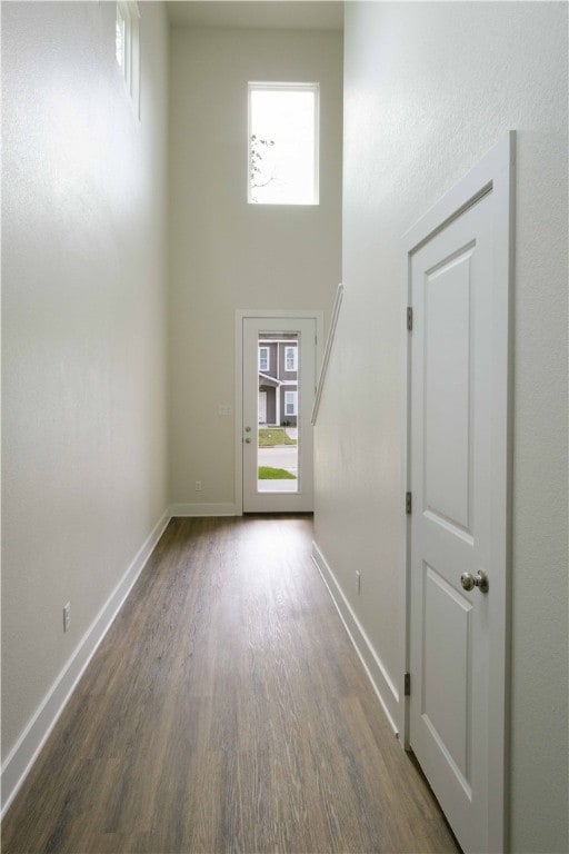 Entrance foyer with dark wood-type flooring, plenty of natural light, and a high ceiling