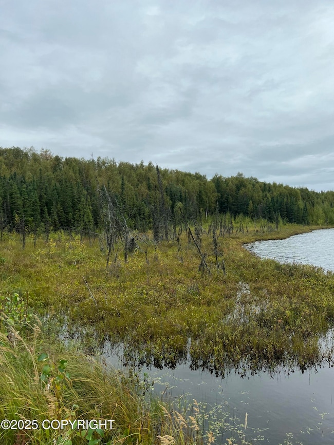 NHN W Hollywood Rd, Wasilla, AK 99654 - photo 5