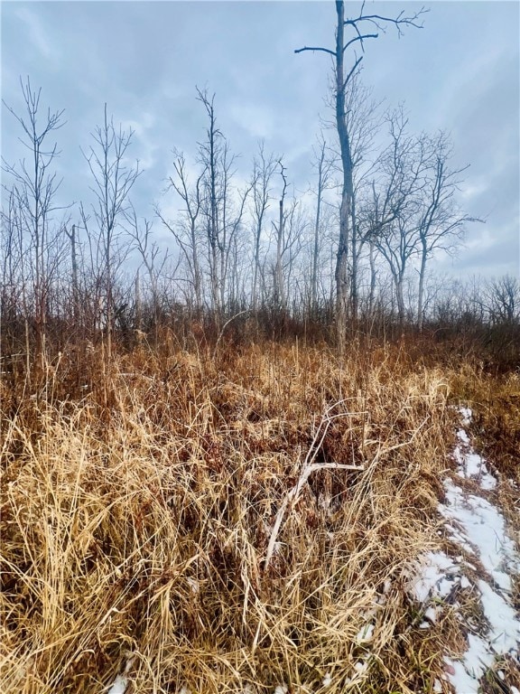 0 Neimi Rd, Ithaca, NY 14850 - photo 2