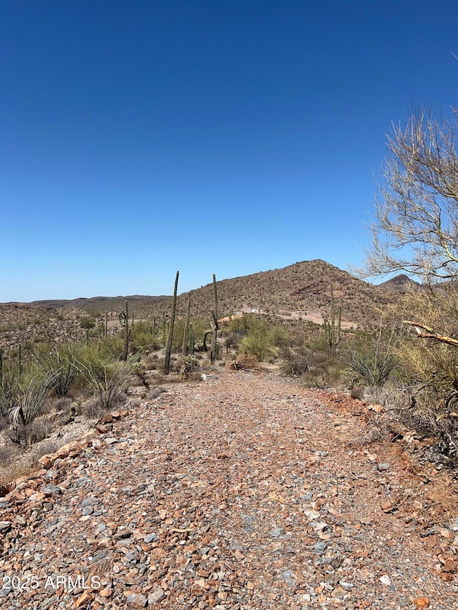 11XX S Hardt Tank S Lot 4 Rd, Queen Valley, AZ 85118 - photo 2