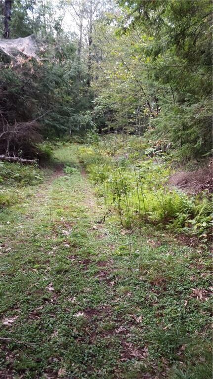Current road leading to the river.