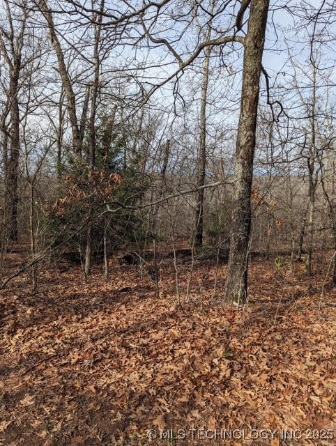 0 S 4530 Rd unit 2550175, Vian, OK 74962 - photo 3