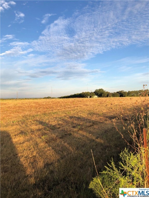 TBD Hwy 36, Moffat, TX 76502 - photo 4