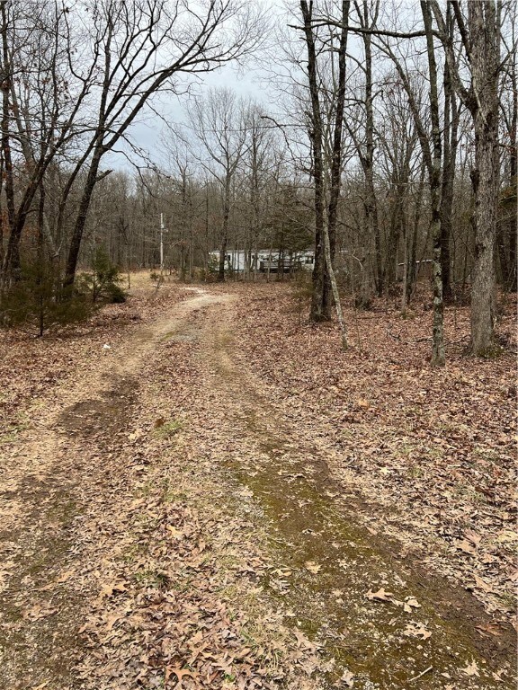 14200 Sugar Mountain Rd, West Fork, AR 72774 - photo 4