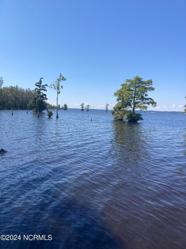 3047 Bass Landing Rd, Edenton, NC 27932 - photo 4