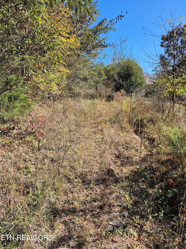 129 County Road 299, Sweetwater, TN 37874 - photo 3