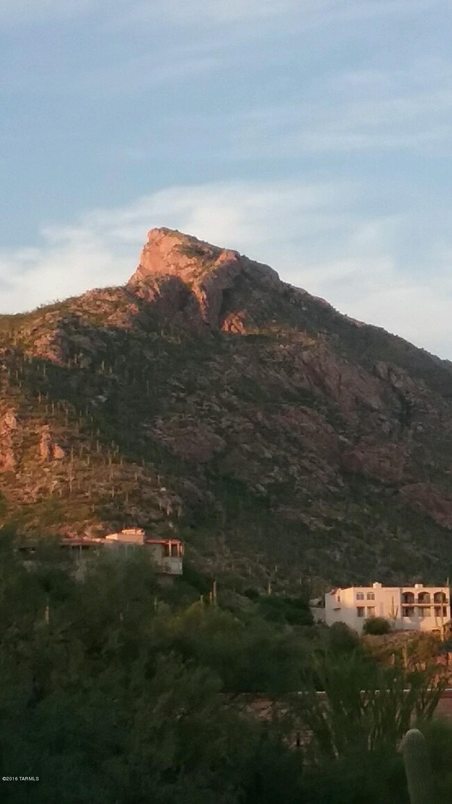 mountains 1 (12)