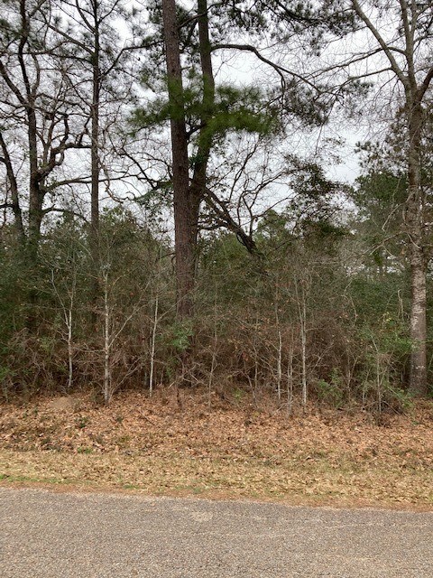 0 Lazy Hollow Ln, Hockley, TX 77447 - photo 2