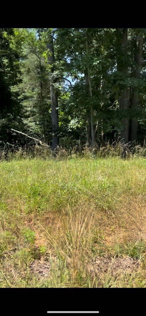 Lot 8 Hidden River Rd, Rock Island, TN 38581 - photo 7