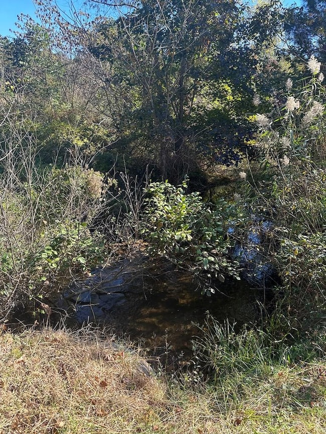 Lot 131 Metompkin Rd unit 131, Parksley, VA 23421 - photo 6