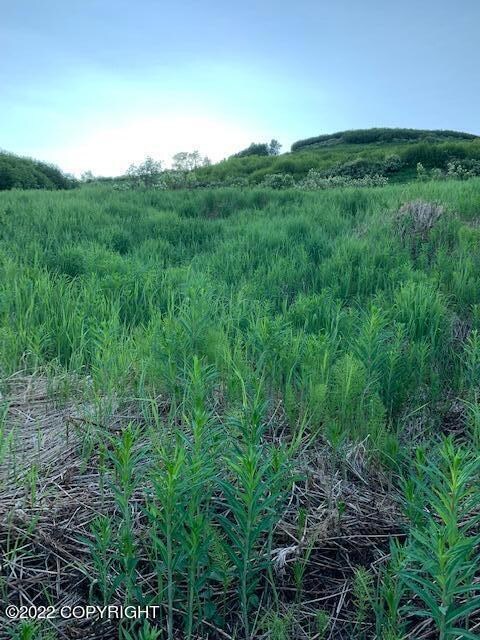 Lot Pic_2