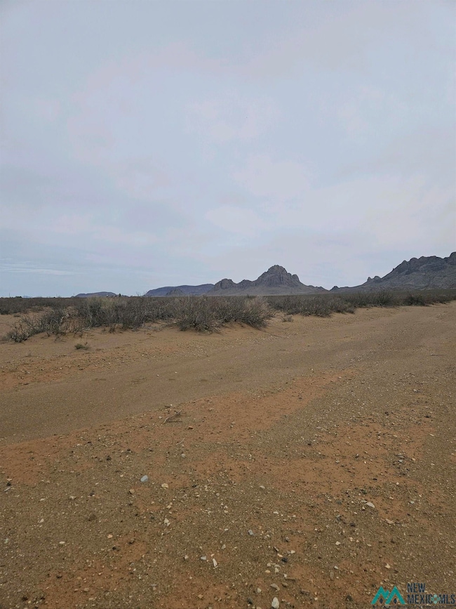 XXX Amarillo Rd SW, Deming, NM 88030 - photo 2
