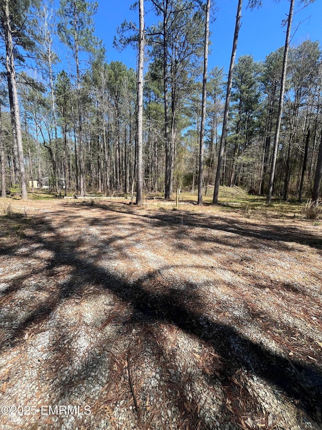 1204 L Ratliff Ferry Rd, Canton, MS 39046 - photo 4