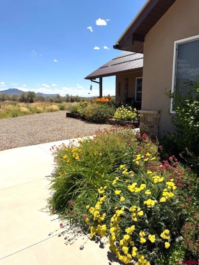 10377 Road 23 5, Cortez, CO 81321 - photo 4