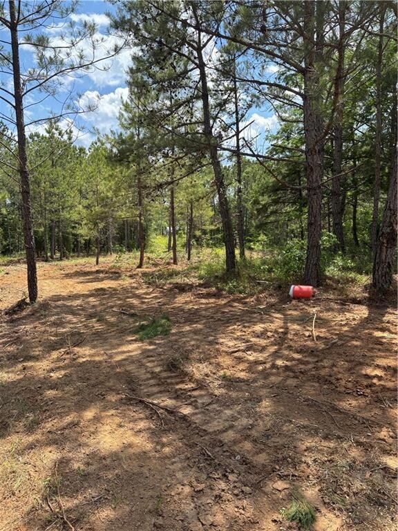 3921 S Highway 431, Phenix City, AL 36869 - photo 6