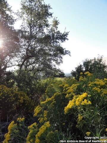 17108 Lone Cypress, Helotes, TX 78023 - photo 5