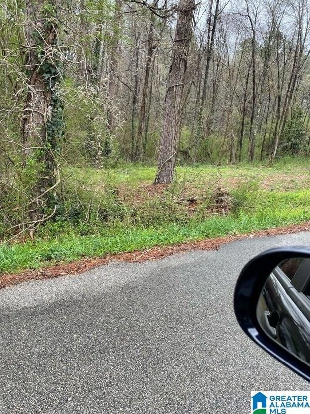 0 Osborn St unit 1 21413432, Heflin, AL 36264 - photo 3