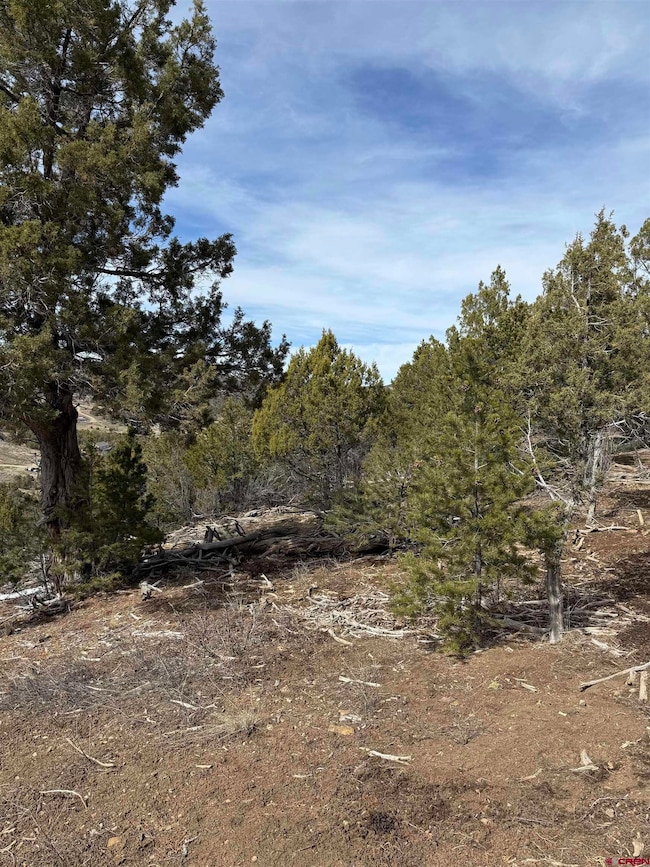TBD J8 Rd, Mancos, CO 81328 - photo 4