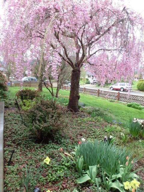 415 Placer St, Rogue River, OR 97537 - photo 2