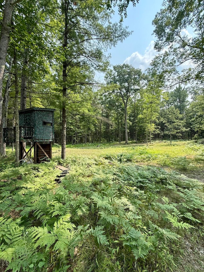 1 River Rd, Brethren, MI 49619 - photo 6