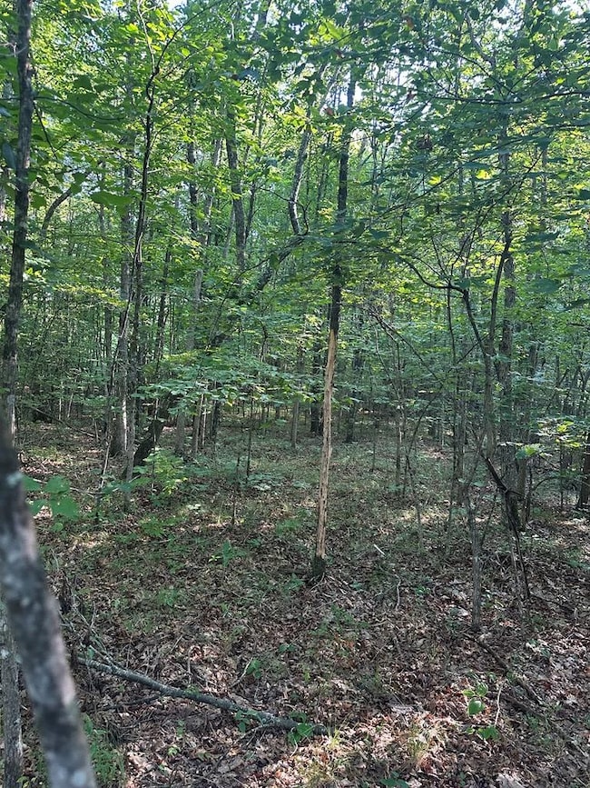 unlisted-address, Wilder, TN 38589 - photo 3