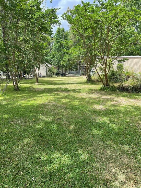 8405 Yellow Poplar, Plantersville, TX 77363 - photo 3