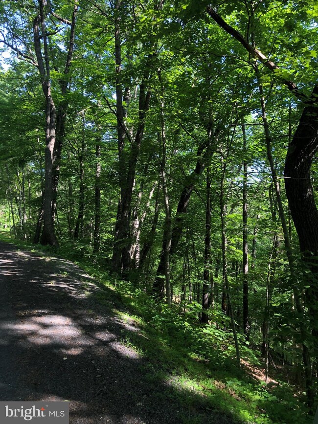 008 Dooley Dr, Basye, VA 22810 - photo 2