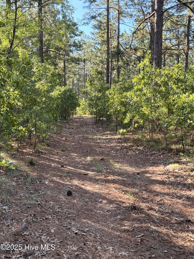 178 Laurel Oak Ln, Pinebluff, NC 28373 - photo 5