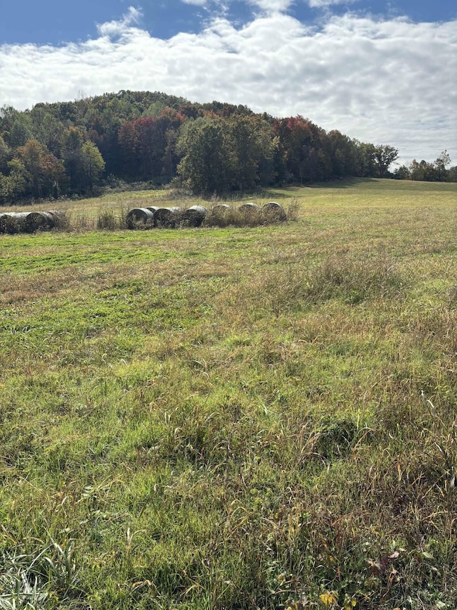 Pine Grove Ch Rd, Vanceburg, KY 41179 - photo 5