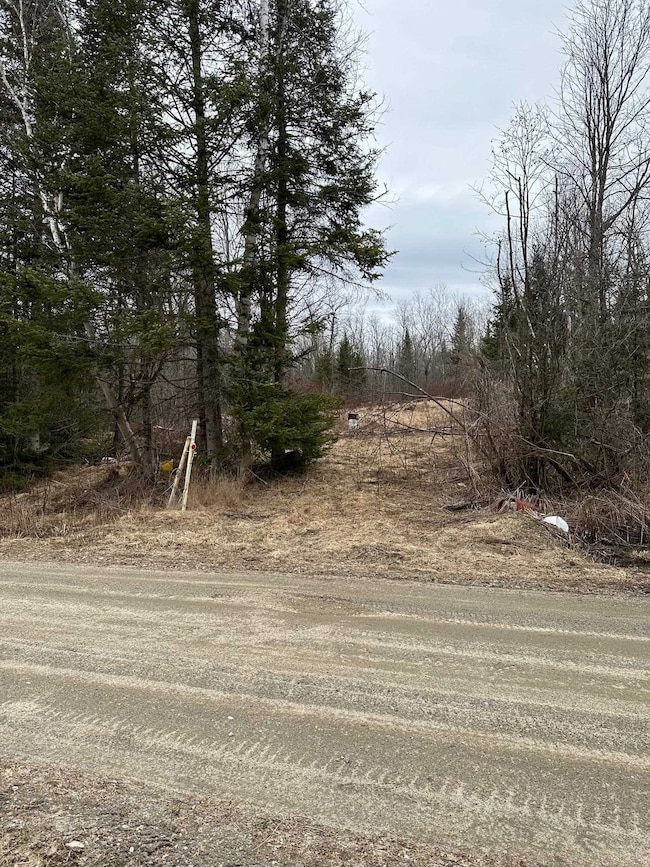 1602 Morin Rd, Guildhall, VT 05905 - photo 2