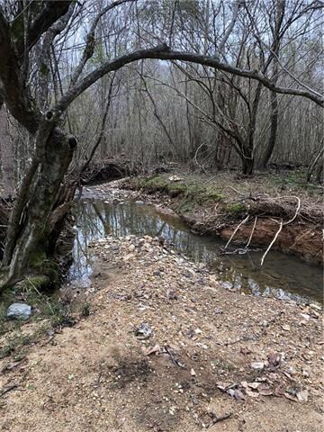 0 Jerico Rd, Asheboro, NC 27205 - photo 4