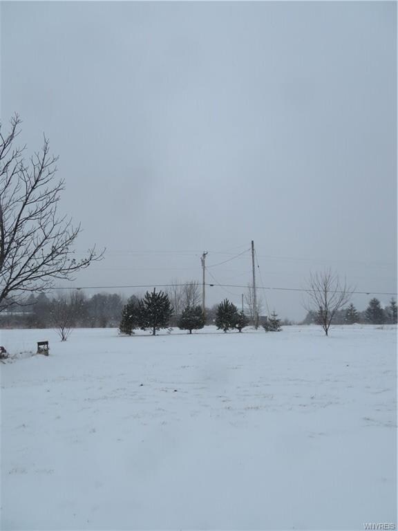 11686 North Rd, Freedom, NY 14065 - photo 5