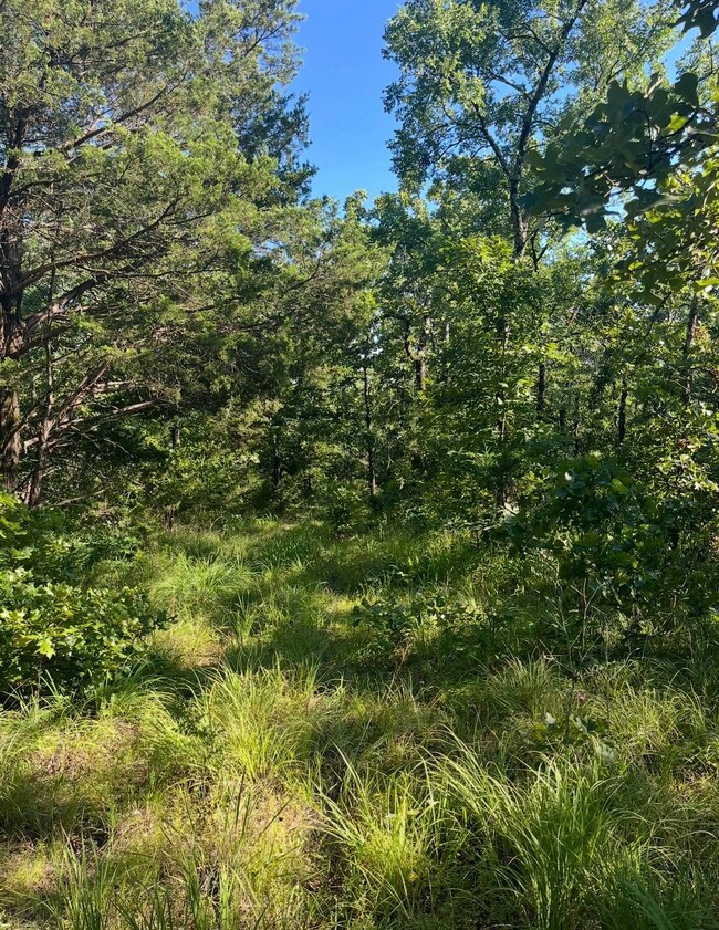 Tract 9B SE 1083 Road Ave, Red Oak, OK 74563 - photo 3