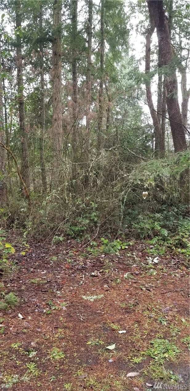 22309 Overlake Loop SE, Yelm, WA 98597 - photo 2