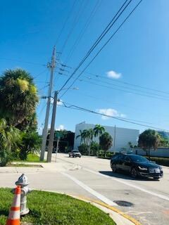 palm street view
