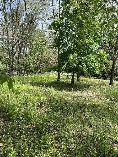 2753 Dean Lake Ave NE, Grand Rapids, MI 49505 - photo 7