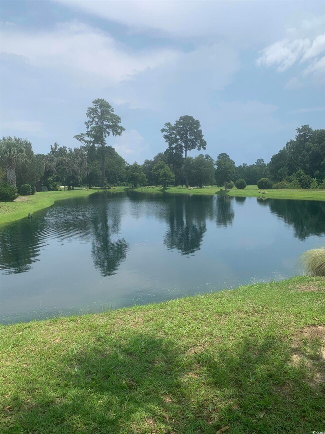 Water view