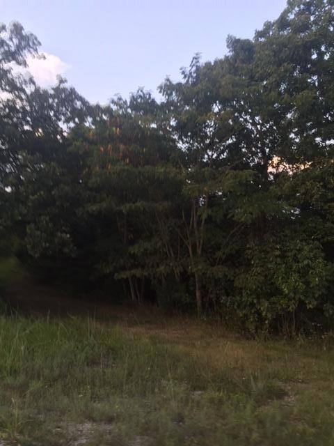 Lots 7-13 Foxcroft Estates Dr, Ruth B Rural Township, MO 65686 - photo 5