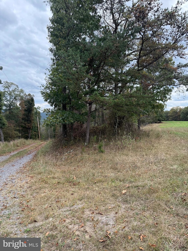 0 Posey Hollow unit WVMO2007026, Berkeley Springs, WV 25411 - photo 5