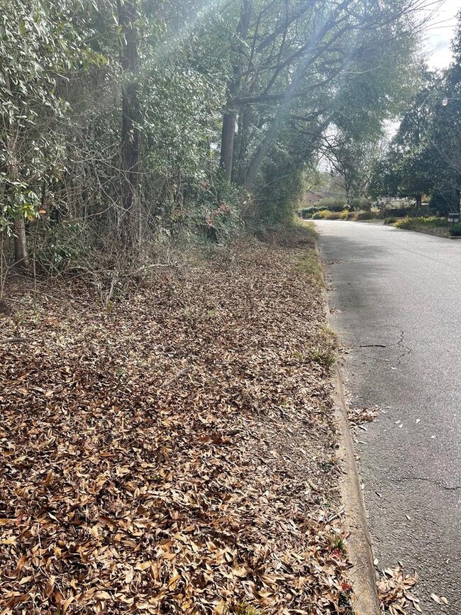 0 Choctaw Dr, Eufaula, AL 36027 - photo 5