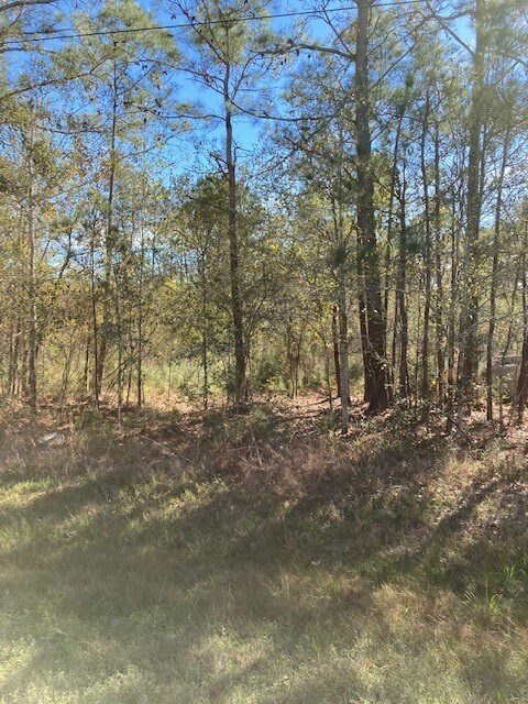 0 County Fair Dr, Hockley, TX 77447 - photo 2